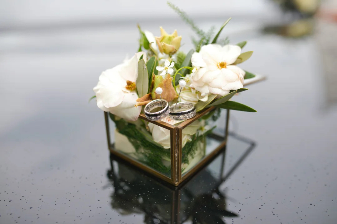 Steve Photography – JPEG Bild 166